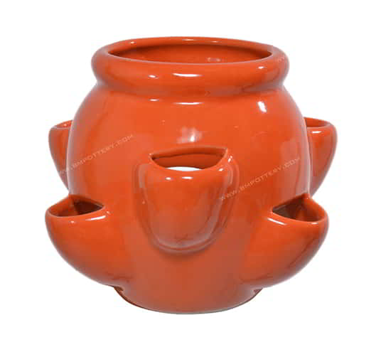 Strawberry Pots-STR-92-CEOrang-SET-1