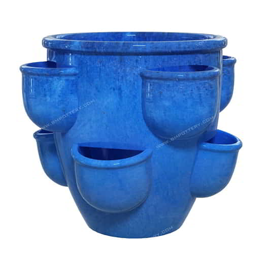 Strawberry Pots-STR-58D47-GTBlue-SET-1