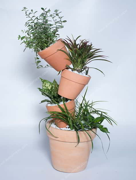 Herb Pots-RT-6362-SET-4