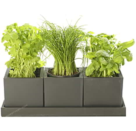 Herb Pots-RT-5714-SET-3