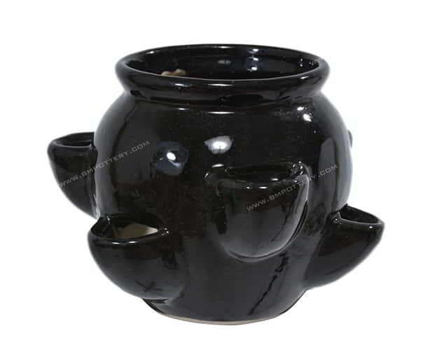 Strawberry Pots-STR-92-CEBlack-SET-1