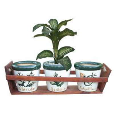 Herb Pots-CE-279H13-SET-3