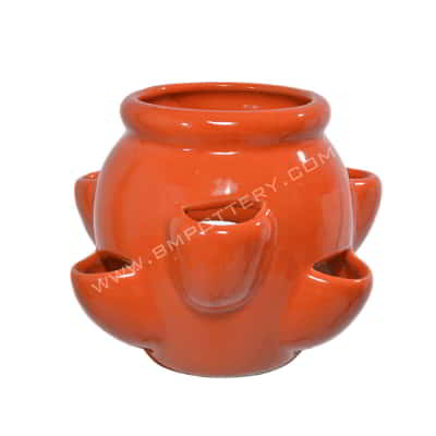 Strawberry Pots-STR-92-CEOrang-SET-1