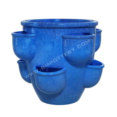 Strawberry Pots-STR-58D47-GTBlue-SET-1