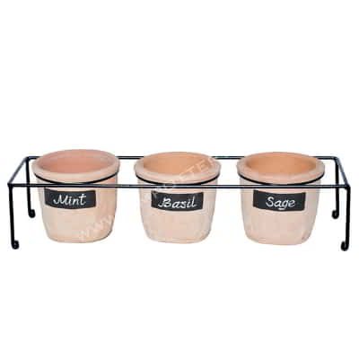 Herb Pots-TRAY-36-SET-3