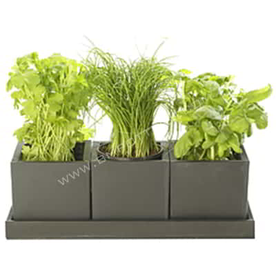 Herb Pots-RT-5714-SET-3